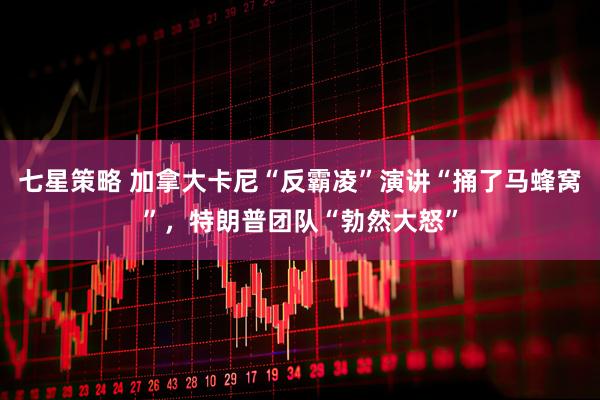 七星策略 加拿大卡尼“反霸凌”演讲“捅了马蜂窝”，特朗普团队“勃然大怒”